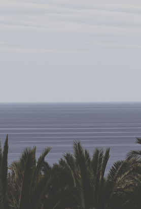 A prime 10-hectare beachfront site